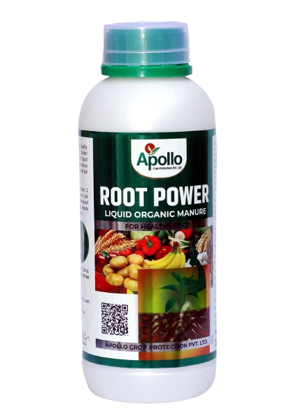 Swuare Root Power Rool Root Power | Pgr - Apollo